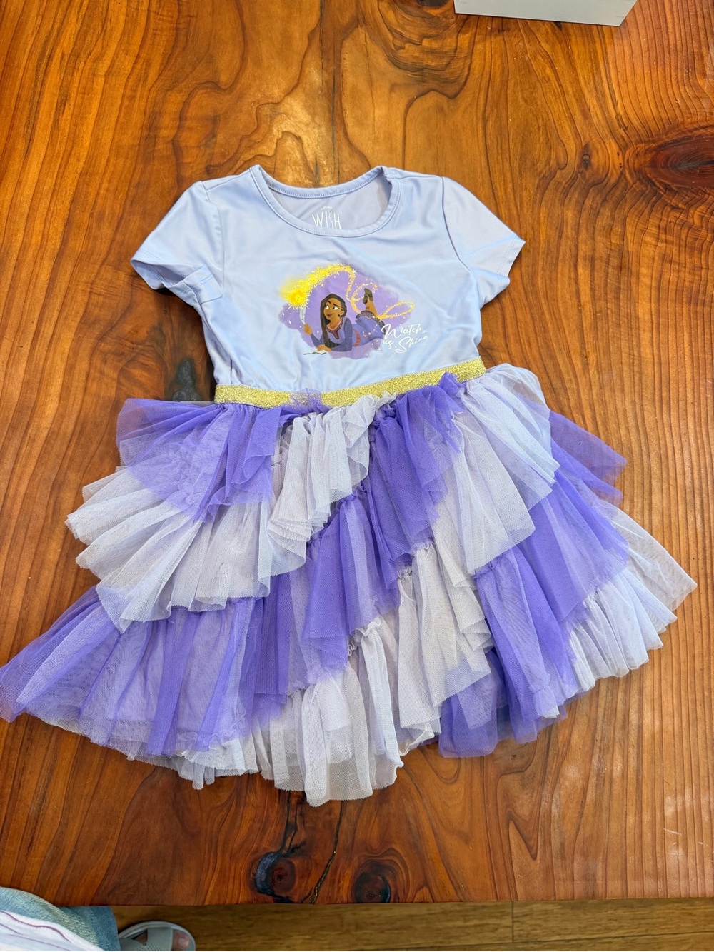 Lilac & Purple Tulle Tutu Dress with Character Graphic